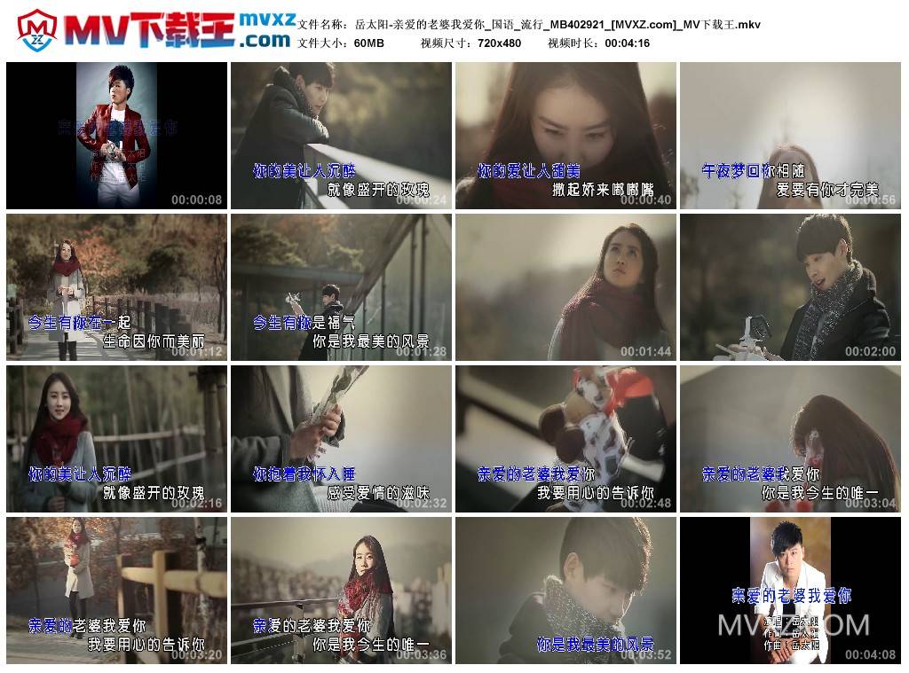 岳太阳-亲爱的老婆我爱你_国语_流行_MB402921